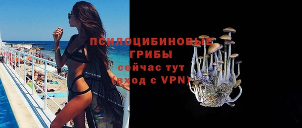 марки nbome Вяземский